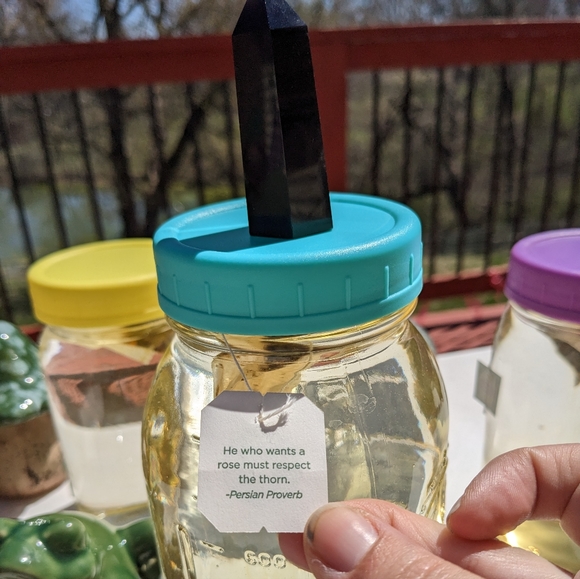 Happy 2025l! Thanks for supporting our small business!🌻🌈🥰💐🍄🎁🛍️💌 - Picture 16 of 17